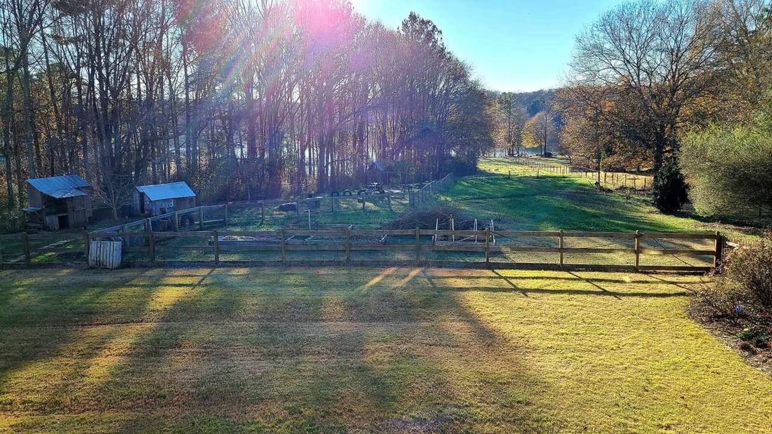 Sunlit pasture with fencing and outbuildings