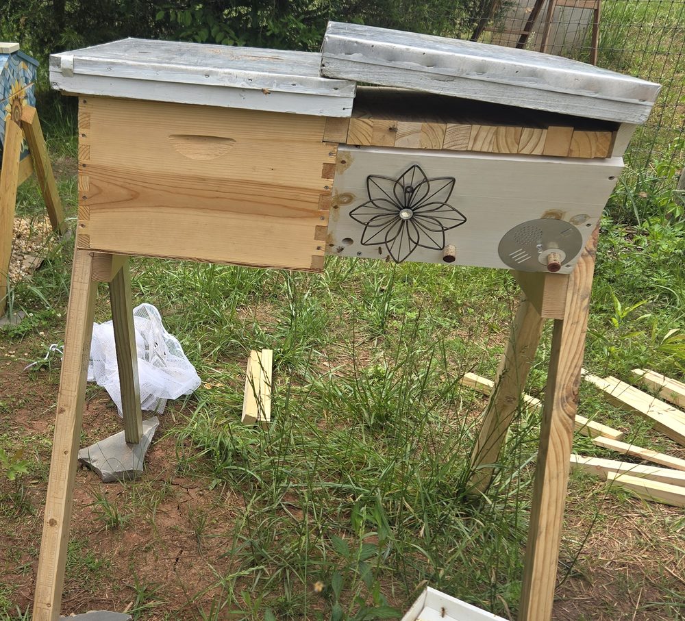A Flex hive: a Langstroth box joined to a white top bar section, on wooden legs