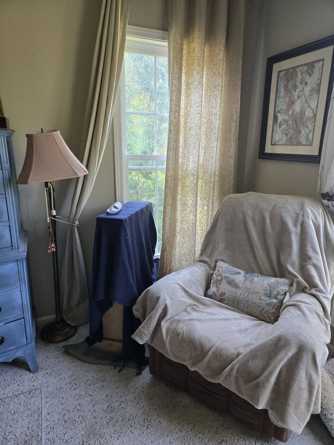 A blanket-covered observation hive beside a window, next to a cozy armchair
